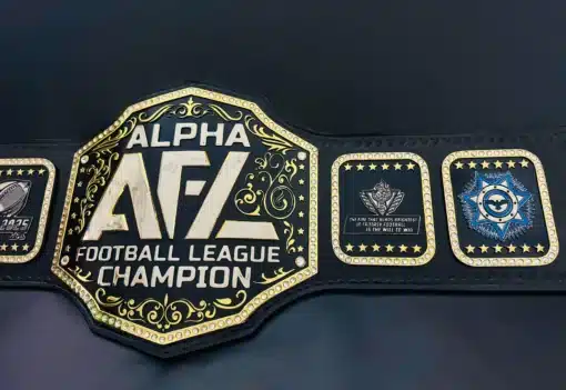 Detailed side plates on custom fantasy football belt with star accents