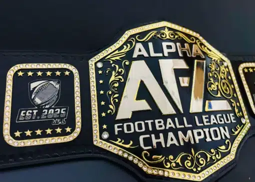 Fantasy league championship belt with rhinestone border and gold artwork