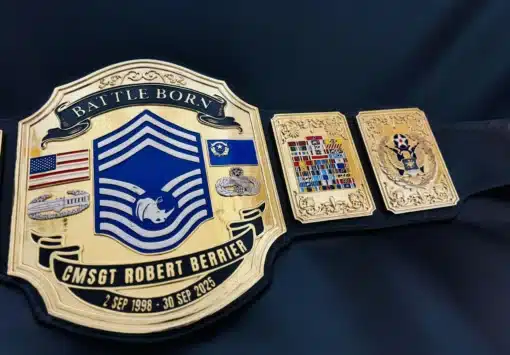 USAF retirement belt with 5 side plates including medals, badges, and Air Force symbols
