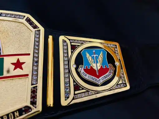 Detailed image of Air Combat Command insignia on gold side plate