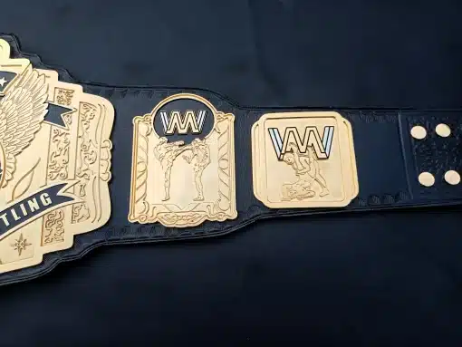 Tag Team wrestling belt – close-up on center plate with red gems