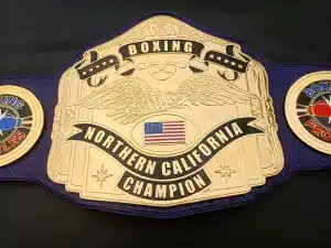 USA Boxing–Style Title for Fighters & Promotions